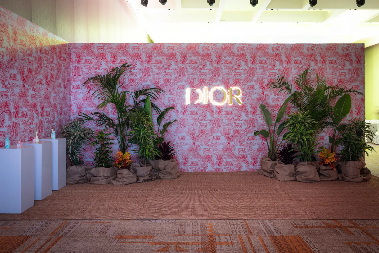 DIOR Staff Meeting & Leisure photograph 10