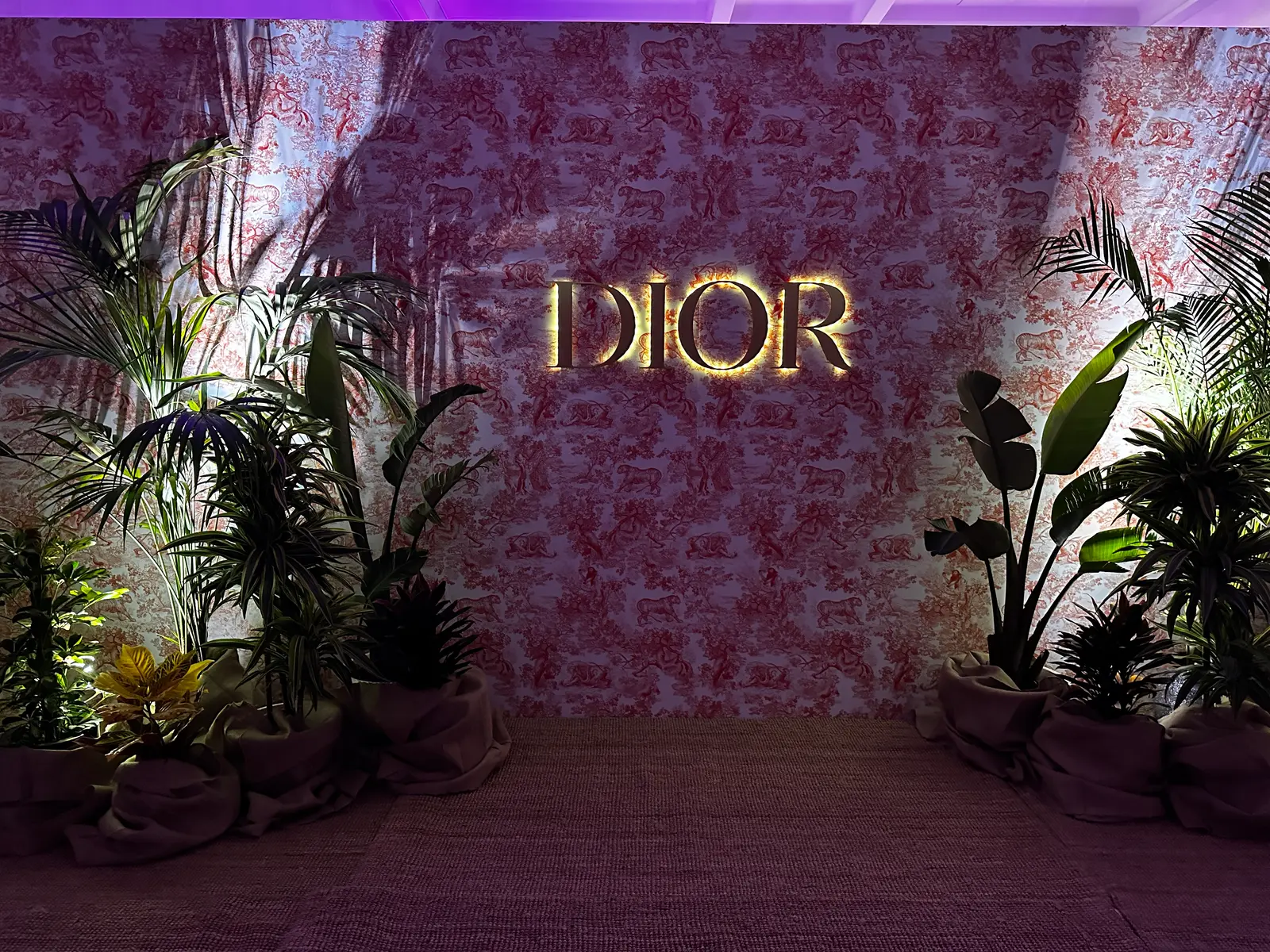 DIOR Staff Meeting & Leisure photograph 7