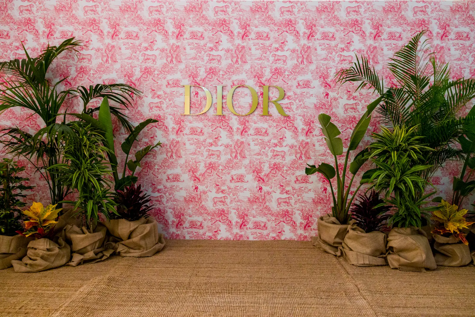 DIOR Staff Meeting & Leisure photograph 6